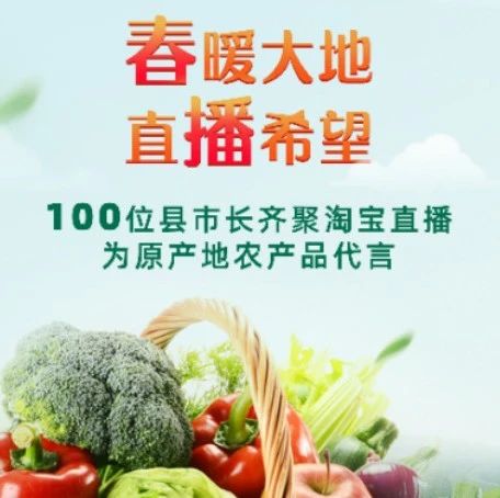 ECPAKLOG启迪俱乐部 | 报告解析：县长们直播带货，效果怎么样？