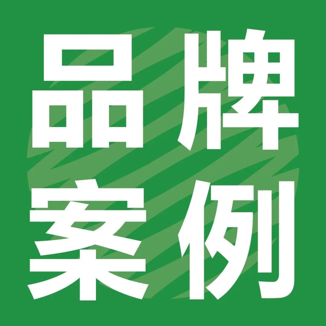 ?PulPac 与 RZ Group 合作，干法模压纤维应用网络继续增长